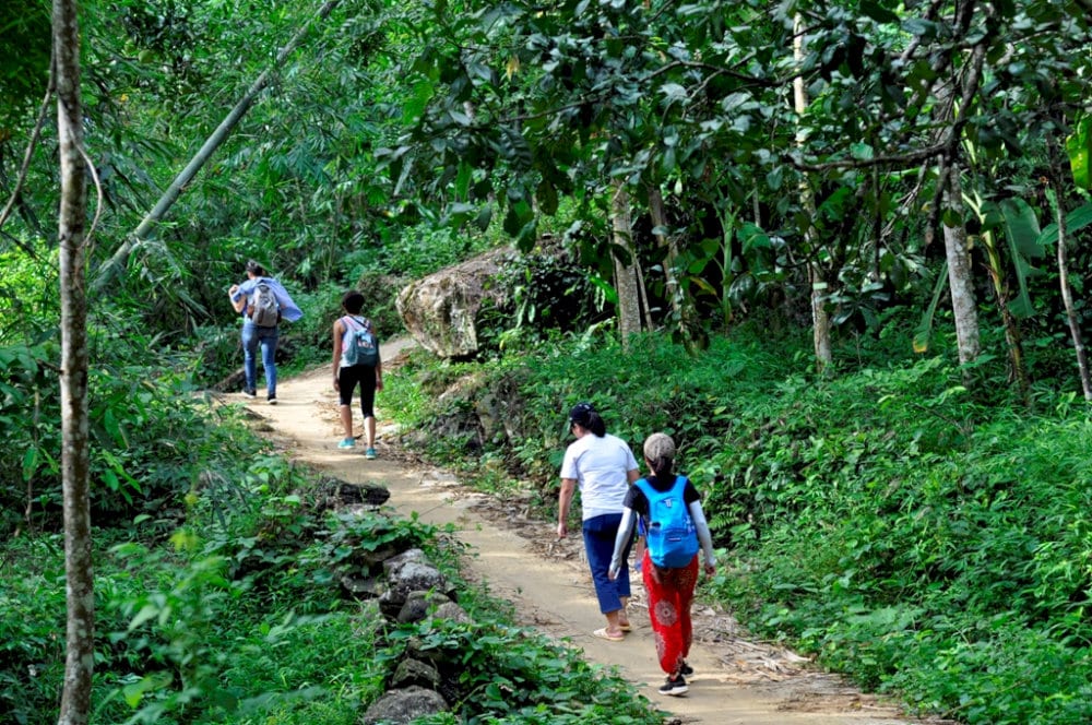 Lối nhỏ xuyên rừng 